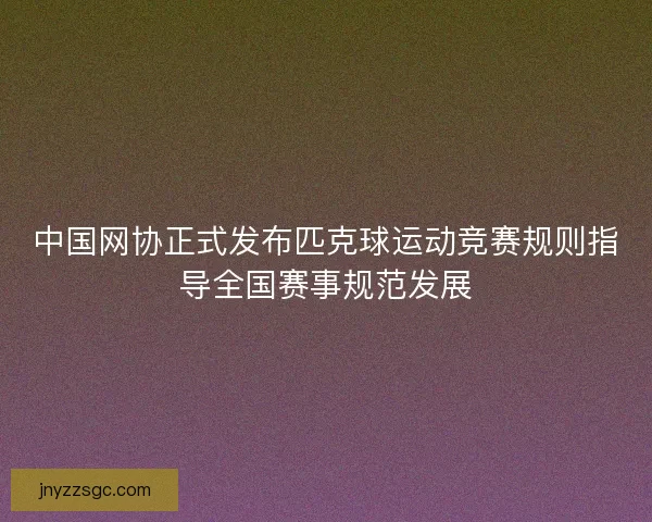 中国网协正式发布匹克球运动竞赛规则指导全国赛事规范发展